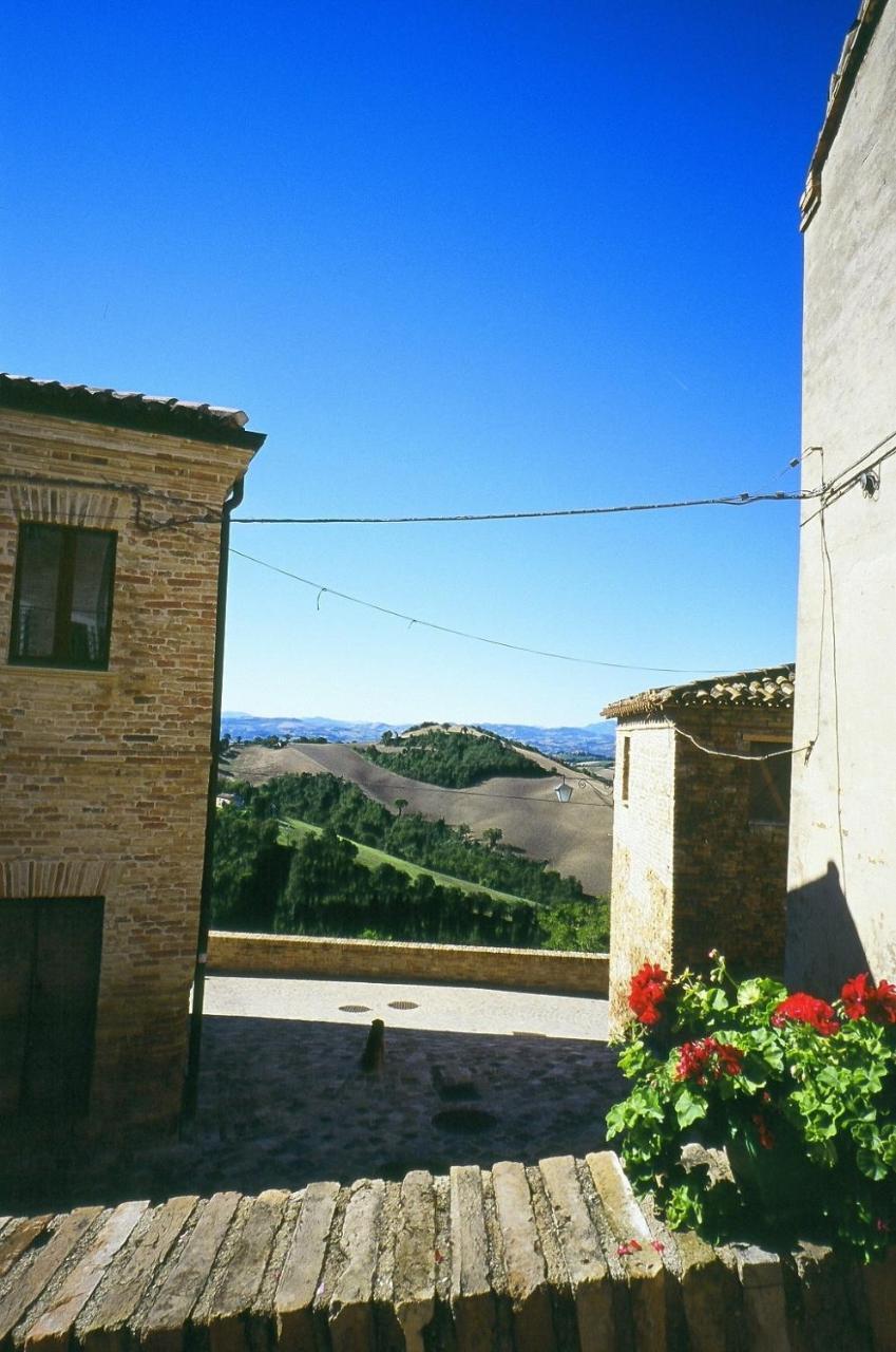 Agriturismo Pozzuolo Serrungarina Eksteriør bilde