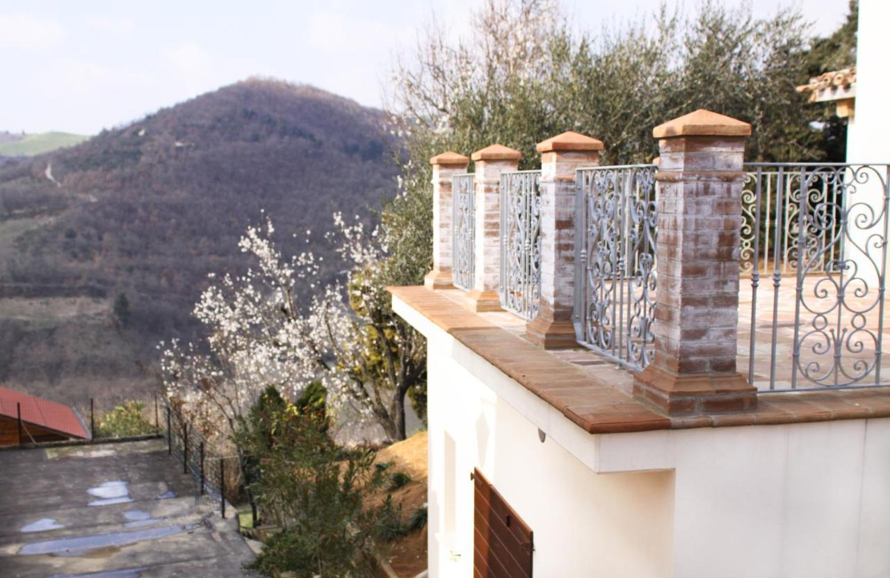 Agriturismo Pozzuolo Serrungarina Eksteriør bilde